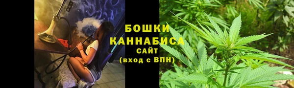 стаф Елизово