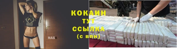 apvp Ельня