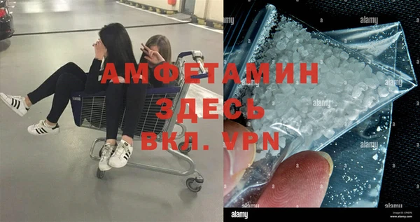 apvp Ельня