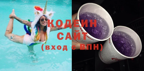 apvp Ельня