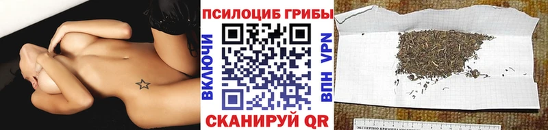 Галлюциногенные грибы MAGIC MUSHROOMS  сайты даркнета как зайти  Фокино 